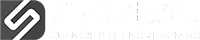 dslogo 1